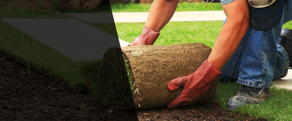 Reedsport Landscapers